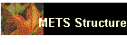 METS Structure
