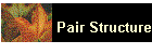 Pair Structure